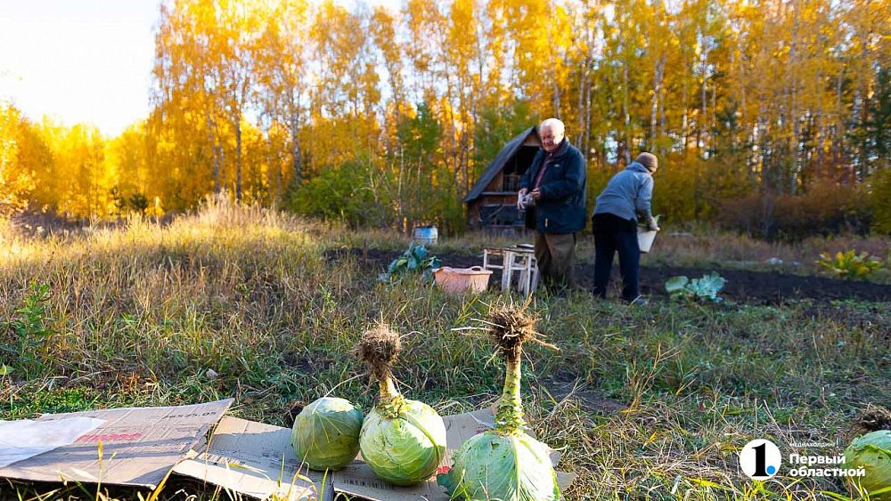 День Александра Сытника отмечают по народному календарю