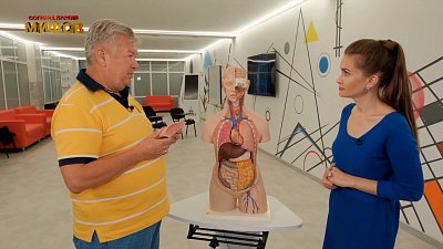 Согрина против мифов от 29.08.2022