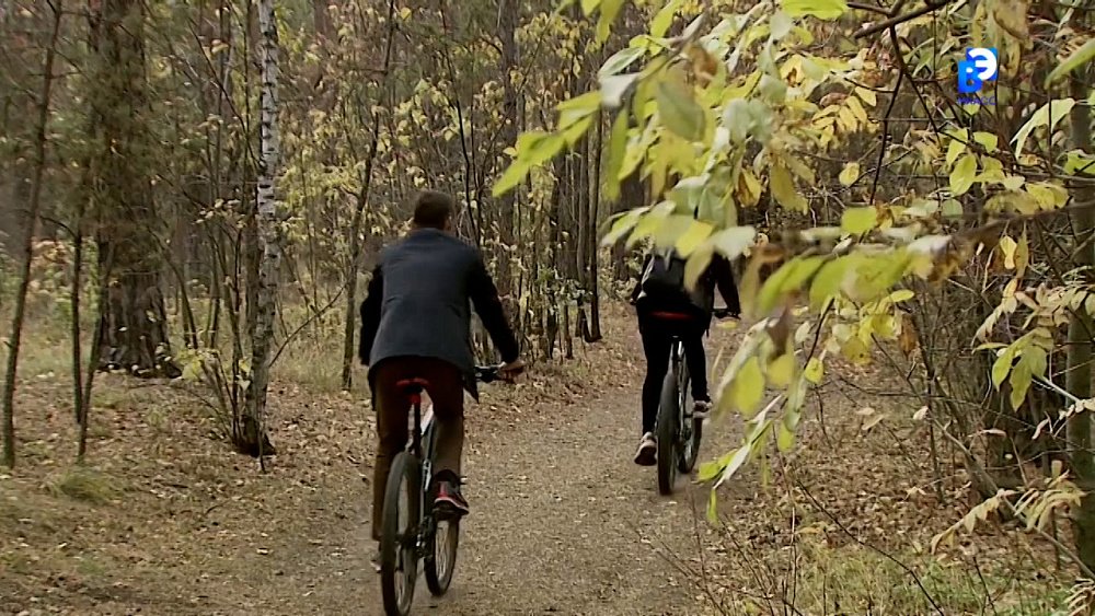 Улучшаем настроение осенью — советы экспертов