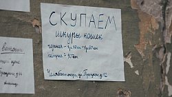 Как снимали кино о революционерах в Челябинске: 10 историй, которые остались за кадром