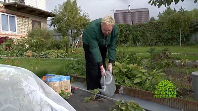 Зеленая передача 15.09.2022