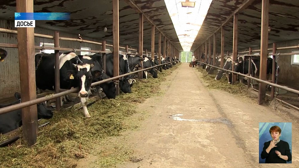 Южный Урал лидер по производству мяса