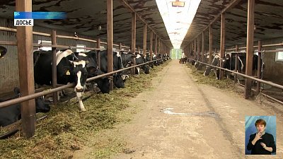 Южный Урал лидер по производству мяса