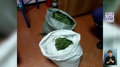 Полицейские задержали наркодельцов