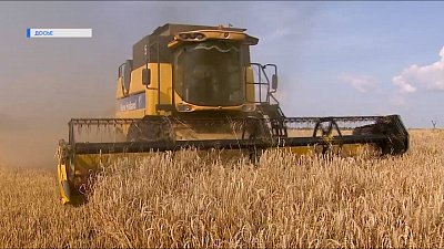 Губернатор озвучил меры по сохранению зерна