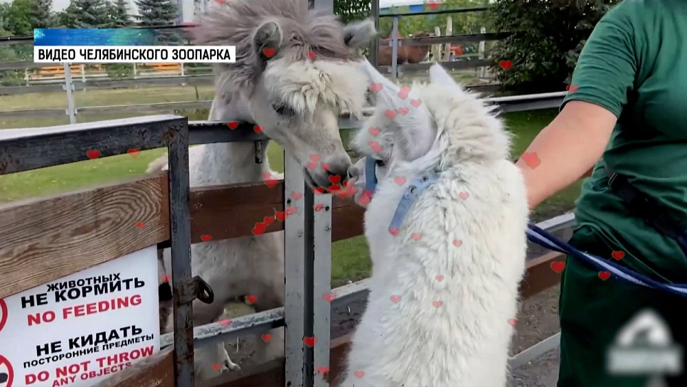 Еремей расцеловал Дусю