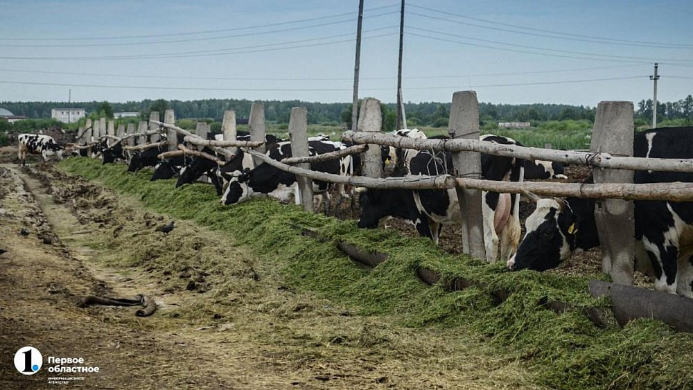 Правительство РФ одобрило выдачу льготных кредитов владельцам подсобных хозяйств