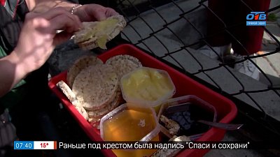 Мишки очень любят мёд! в сюжете «Медовая опека»