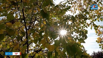 «Второе лето пришло в Че» в сюжете «Почему бабье лето — бабье?»