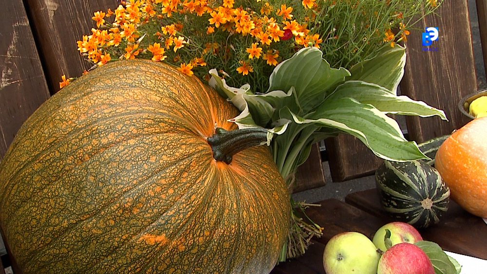 Жители машгородка отмечают праздник урожая