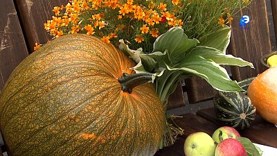 Жители машгородка отмечают праздник урожая