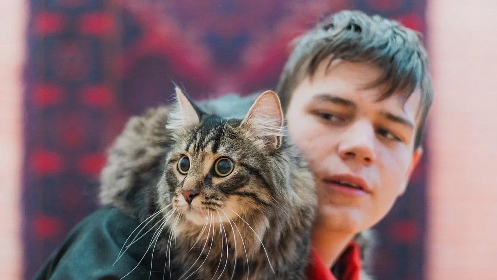 Челябинцев приглашают на бесплатные фотосессии с кошками