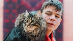 Челябинцев приглашают на бесплатные фотосессии с кошками