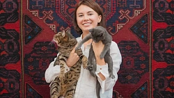 Челябинцев приглашают на бесплатные фотосессии с кошками