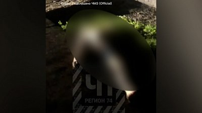 В Челябинске из окна выпал мужчина