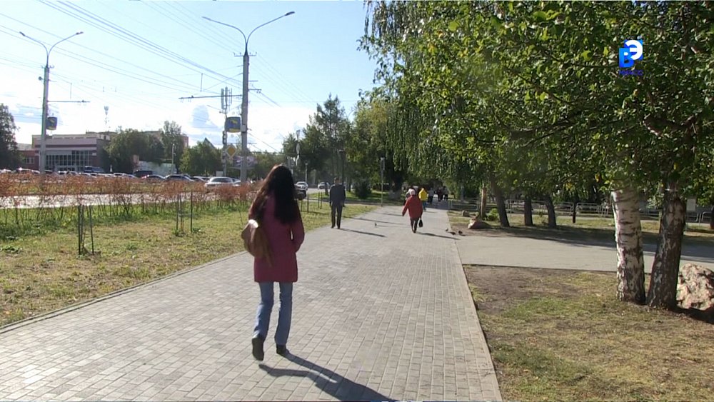 Всемирный день без автомобиля