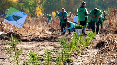 Железнодорожники высадили под Челябинском почти 20 тысяч саженцев деревьев