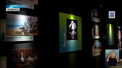 В Челябинске открылась фотовыставка птиц