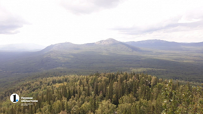 40 экологических троп обустроят в Челябинской области