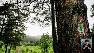 На Урале появится туристическая тропа