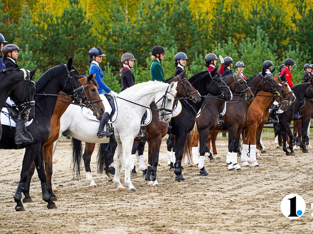 Конный спорт челябинск. КСК Рифей Челябинск соревнования. Соревнования по конному спорту конкур. Конный спорт забота.