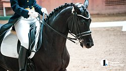 В Челябинске стартовали Всероссийские соревнования среди студентов по конному спорту