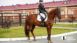 В Челябинске стартовали Всероссийские соревнования среди студентов по конному спорту