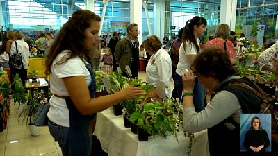 В Челябинске прошла выставка комнатных растений