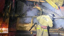 В Чебаркуле на пожаре в садовом доме погиб мужчина