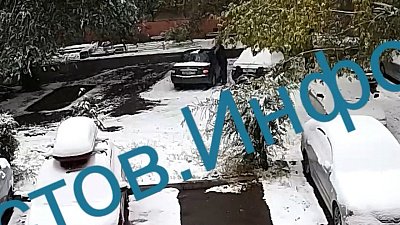 В Магнитогорске дерево упало на водителя автомобиля