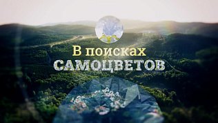 В поисках самоцветов. 12 серия