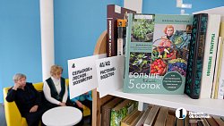 На северо-западе Челябинска после ремонта открылась библиотека Татьяничевой