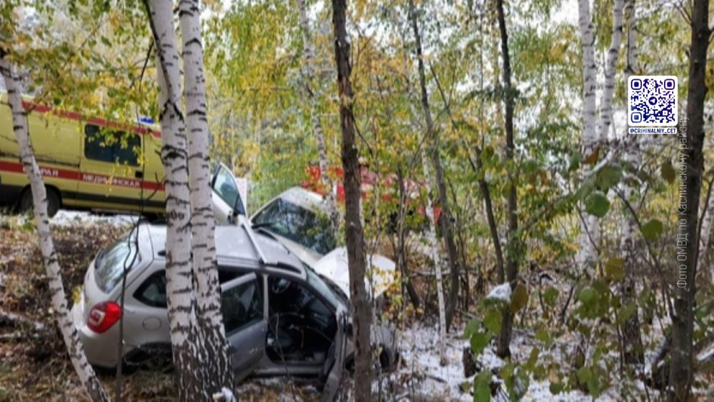 Два человека утонули в болоте после ДТП