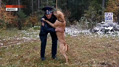 Пес из Златоуста остался жить у полицейского