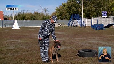 Челябинская ищейка стала лучшей в России
