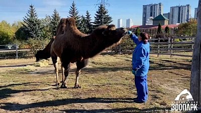 В Челябинском зоопарке поздравили сотрудников с днем кипера