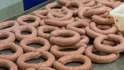 233 фиктивных производителя продуктов питания выявили в Челябинской области