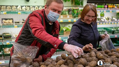 В Челябинской области наступила пора запасаться картофелем