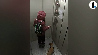 Суд отказался лишать прав маму девочки, сбросившей собаку с 20‑го этажа в Челябинске