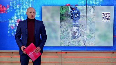 В Магнитогорске спасли собаку