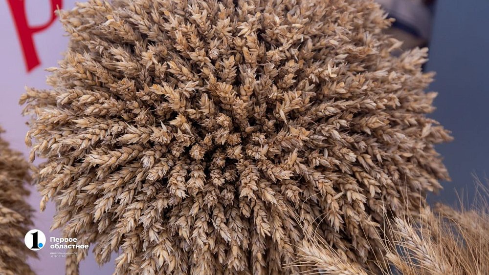 Продукция Челябинской области получила 50 медалей на агровыставке в Москве