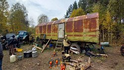 Пять человек задержали за незаконную вырубку 168 сосен в Челябинской области