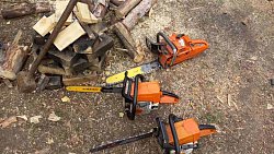 Пять человек задержали за незаконную вырубку 168 сосен в Челябинской области