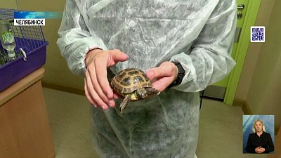 В паллиативном отделении проводят мастер-классы