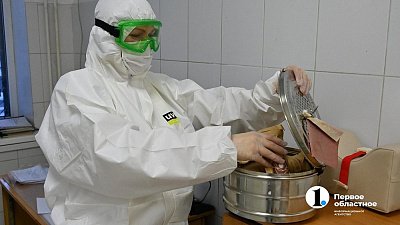 Еще 536 человек заболели коронавирусом за день в Челябинской области