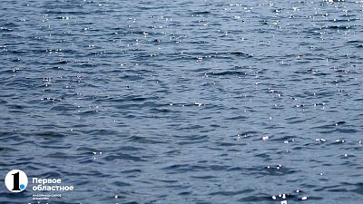 В Магнитогорске в реку Урал выпустили 80 тысяч мальков рыб