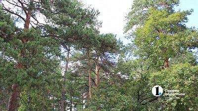 В Магнитогорске благоустроят сквер Ветеранов за 156 млн рублей