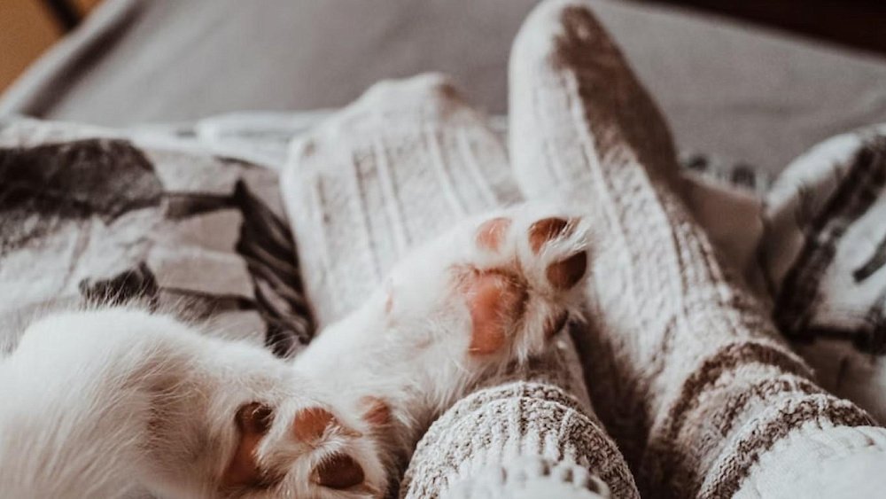 При этих заболеваниях ноги все время мерзнут