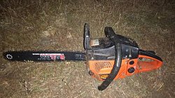 В Челябинской области мужчину задержали за вырубку берез на 130 тысяч рублей