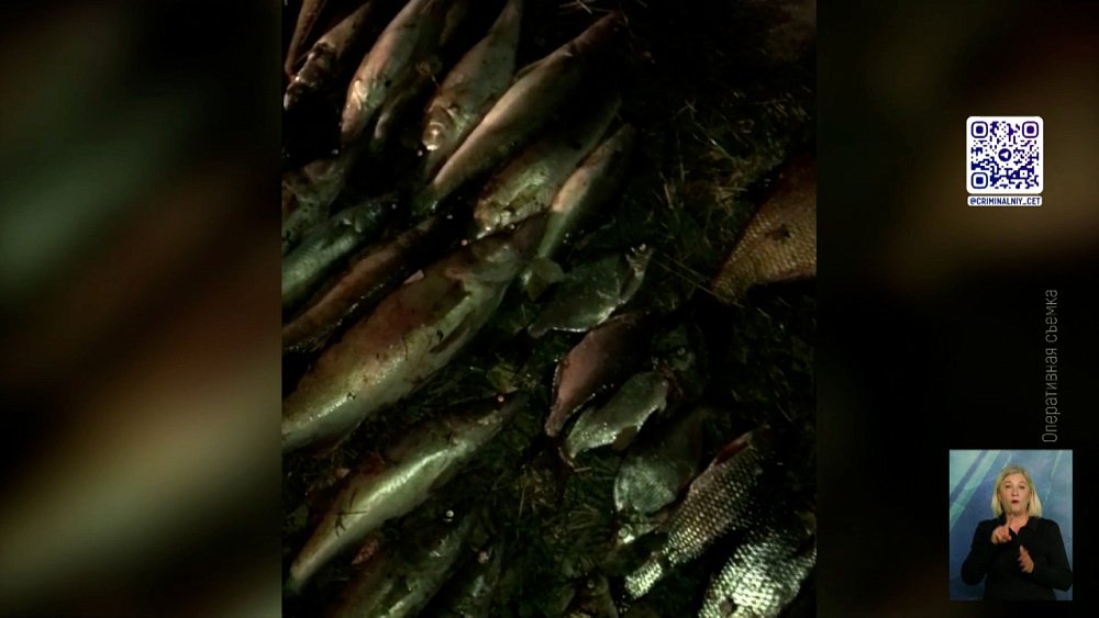 На Синаре задержали браконьеров